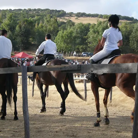 Montealma * Nulvi