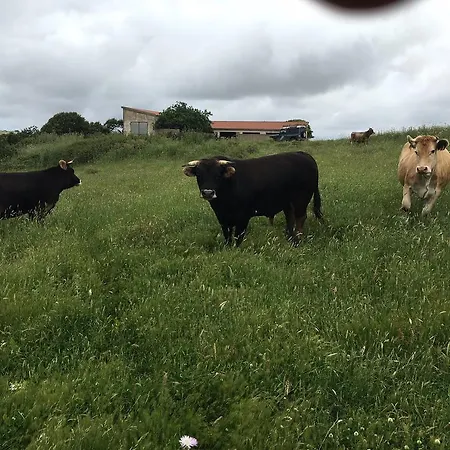 Montealma Farmház *